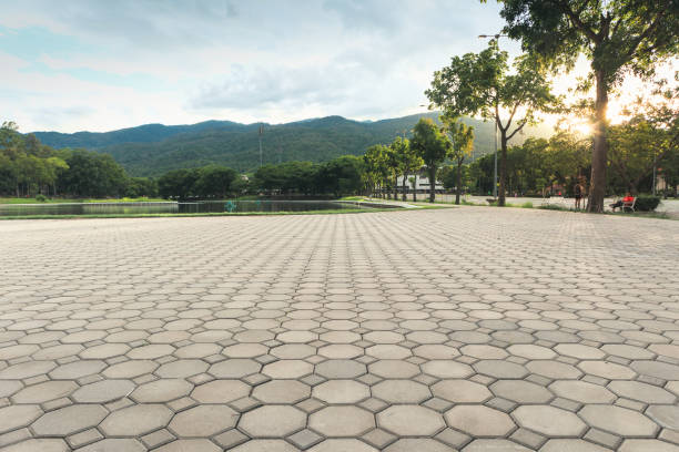 Best Local Driveway Pavers  in Cowarts, AL